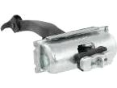 Ford DP5Z-5427204-A Check Assembly - Door