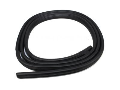 2005 Ford F-350 Super Duty Door Seal - 3C3Z-2820708-AB