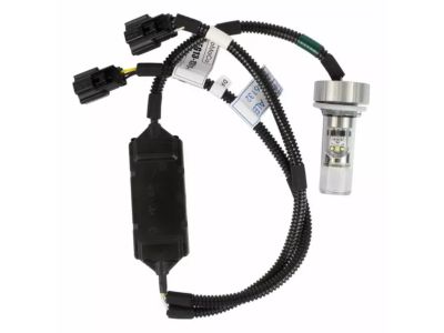 Ford EG1Z-13410-A Socket And Wire Assembly - Lamp, Driver Side