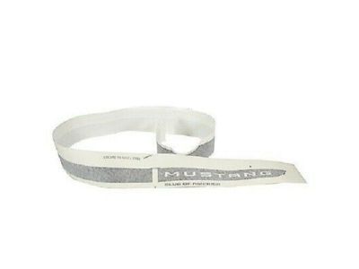 Ford CR3Z-6320000-BD Stripe Kit