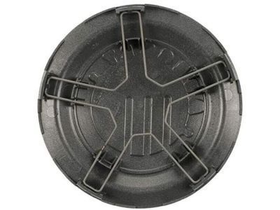 Ford 5W3Z-1130-AA Center Cap, Sparkle Silver