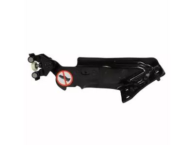 Ford DT1Z-1525001-A Roller Assembly, Driver Side