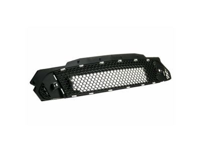 Ford FR3Z-8200-AB Upper Grille
