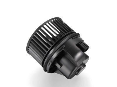 Ford DV6Z-19805-C Blower Assy