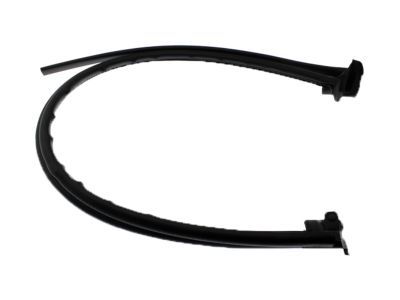Ford F81Z-28253A36-AA Weatherstrip, Passenger Side