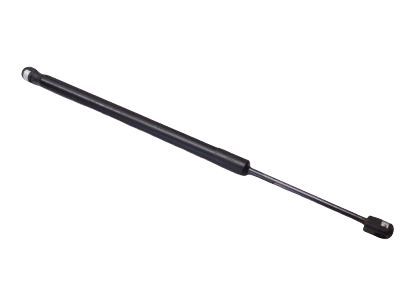 Ford 3S4Z-61406A10-AA Lift Assy - Gas