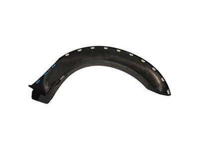 Ford 6C3Z-16039-BA Wheel Opening Molding