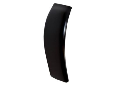Ford F81Z-2551728-AAP Moulding - Roof Side Trim          