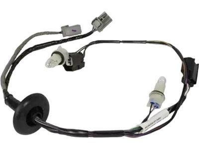 Ford DS7Z-13412-B Socket And Wire Assembly - Lamp, Rear