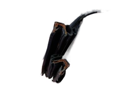 Ford BL3Z-16253A10-A Weatherstrip On Body, Rear Passenger Side