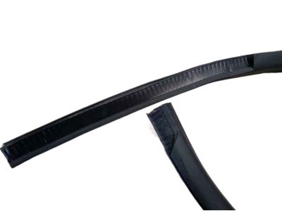Ford BL3Z-16253A10-A Weatherstrip On Body, Rear Passenger Side