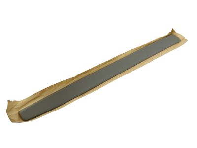 1C3Z-2625533-AAD Ford Moulding - Door Outside, Driver Side Product Photo 1 of 1