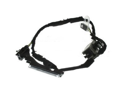 Ford FL3Z-13C724-D Wire Assembly, Driver Side