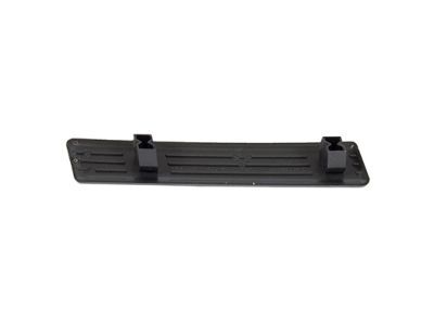 Ford CL3Z-16490-AA Step Pad
