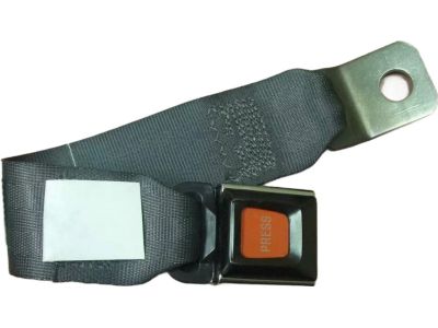 Ford F2UZ-1660044-M Belt And Buckle Assembly