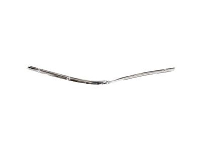 Ford F8VZ-17K833-BA Cover Molding, Passenger Side