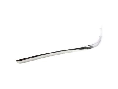Ford F8VZ-17K833-BA Cover Molding, Passenger Side