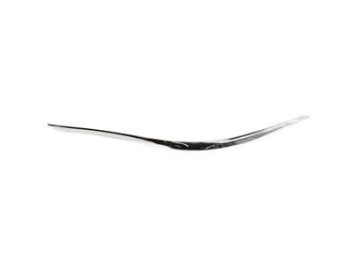 Ford F8VZ-17K833-BA Cover Molding, Passenger Side