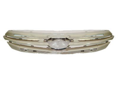 Ford DG1Z-8200-BPTM Grille