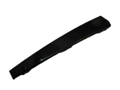 Ford 1L1Z-7820983-AA Upper Molding, Front Driver Side