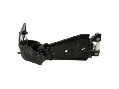 Ford DT1Z-9926801-A Hinge Assy