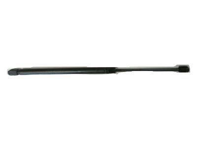 Mercury 2L2Z-7842105-AA Lift Assy - Gas