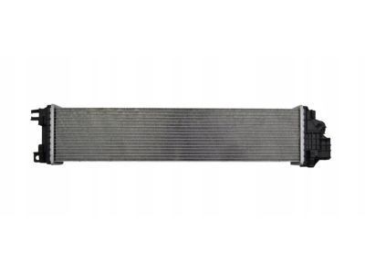 Ford DG9Z-8005-F Radiator Assy