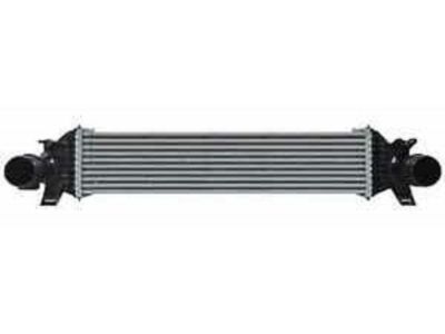Ford DG9Z-8005-F Radiator Assy