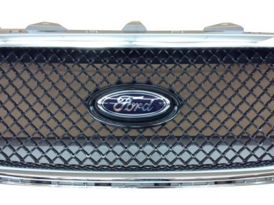 Ford DG1Z-8200-DC Grille