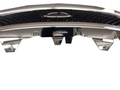 Ford DG1Z-8200-DC Grille
