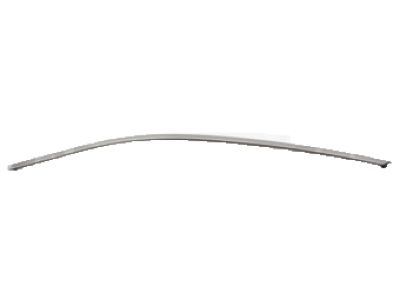 Ford AG1Z-5420551-B Upper Molding, Front Driver Side