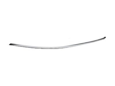 Ford Special Service Police Sedan Door Moldings - AG1Z-5420551-B