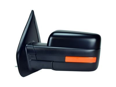 Ford 9L3Z-17683-DBPTM Mirror
