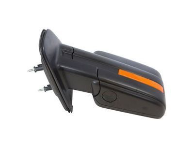 Ford 9L3Z-17683-DBPTM Mirror