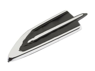 Ford GJ5Z-16228-AA Ornament, Black, Passenger Side