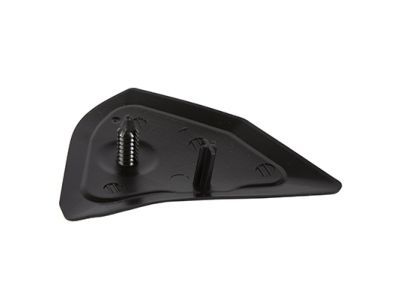 Ford FL3Z-1029038-A Rear Molding, Passenger Side