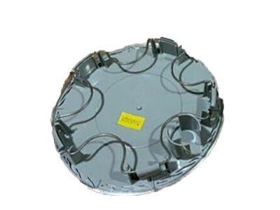 Ford F6XZ-1130-AAG Center Cap, Gray