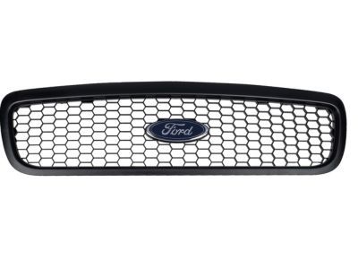 Ford 6W7Z-8200-AA Grille, Black, Front