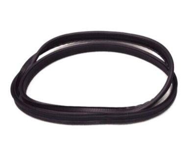 Mercury Capri Weather Strip - D9ZZ6651346A