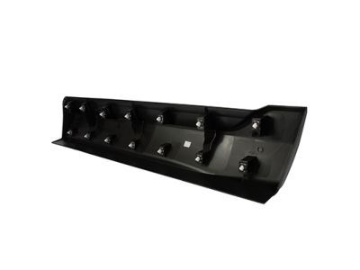 Ford FT4Z-5810176-DC Moulding, Passenger Side