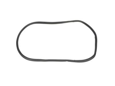 2017 Ford Police Interceptor Utility Door Seal - BB5Z-78404A06-C