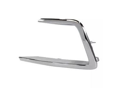 Ford JL1Z-15A245-AB Bezel - Fog Lamp, Passenger Side