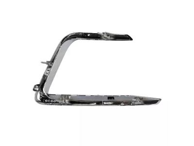 Ford JL1Z-15A245-AB Bezel - Fog Lamp, Passenger Side