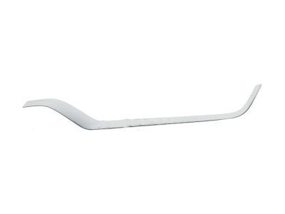 Ford FA1Z-17E811-AB Outer Molding, Front Driver Side
