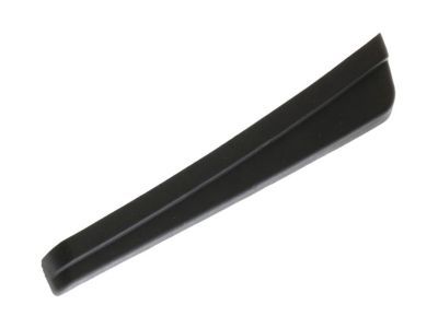 Ford GJ5Z-78018A16-AB Molding, Front Passenger Side