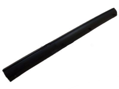 Ford 1C3Z-28253A24-A Lower Weatherstrip, Rear