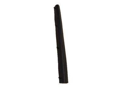 Ford 1C3Z-28253A24-A Lower Weatherstrip, Rear