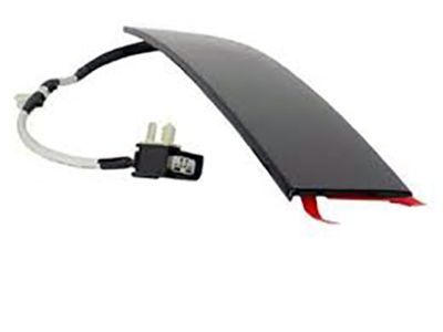 Ford CG1Z-5420555-CA Moulding - Door Outside