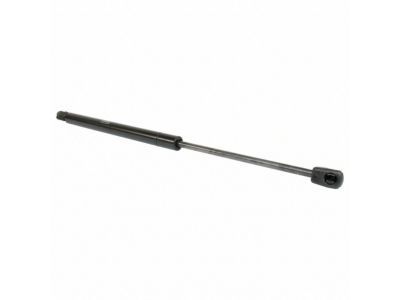 Ford HC3Z-16C826-B Lift Assy - Gas