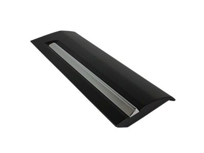 2017 Ford Police Interceptor Utility Door Moldings - FB5Z-7825557-BA